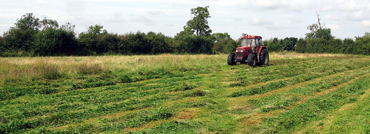 Picture of Cutting the Hay