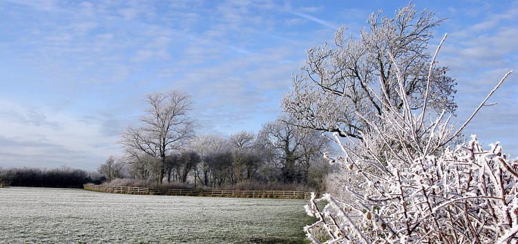 general view of spinney