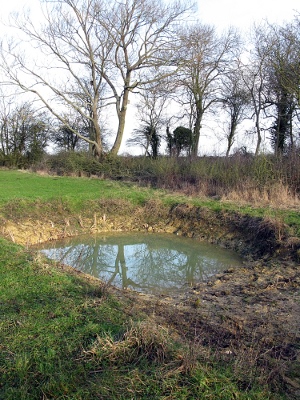 Picture of pond
