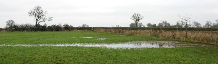 picture of flooded fields